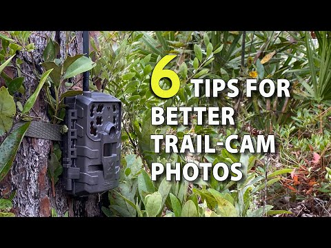 6 Tips for Trail Camera Setup to Get More & Better Deer Photos