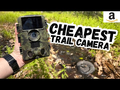 Amazons CHEAPEST Trail Camera Worth It?!
