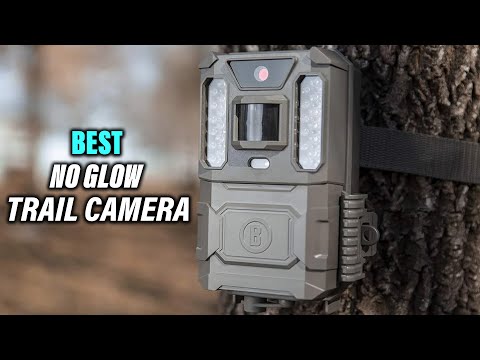 Best No Glow Trail Camera for Wildlife Monitoring Hunting in 2023 Top 5 Review