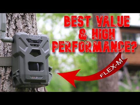 Spypoint FLEX M Cellular Trail Camera: Best Value $79.99 Dual Sim 28MP GPS Field Test Review