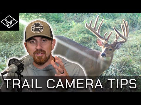 Trail Cameras 101 | Placement Strategies Tips Tactics...