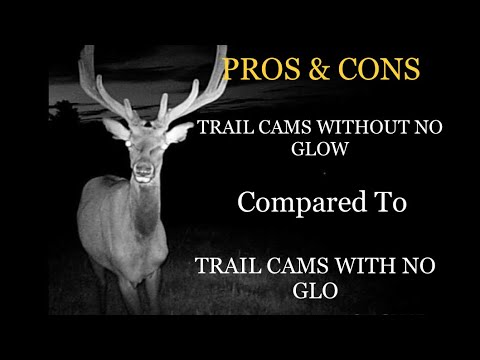 Trail cameras pros & cons without no glow compared to trail cams with no glow