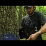 Ameristep Treestand Ladder Stand Hoist System Installation & Use