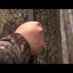 BigFoot Tree Ladder Product Video