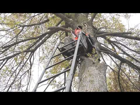 Guide Gear 16’ Basic Ladder Tree Stand
