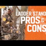Pros and Cons of Ladder Stands for Deer Hunting | Wired To Hunt