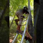 Vevor Ladder: Safe & Easy Deer Stand Installation #vevorladder #vevor #ladder